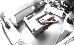 sens@home: Detection of a Fallen Person
